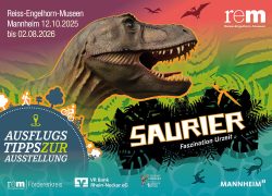 csm_20250523_Saurier_Faltkarte_Cover_db5803a702